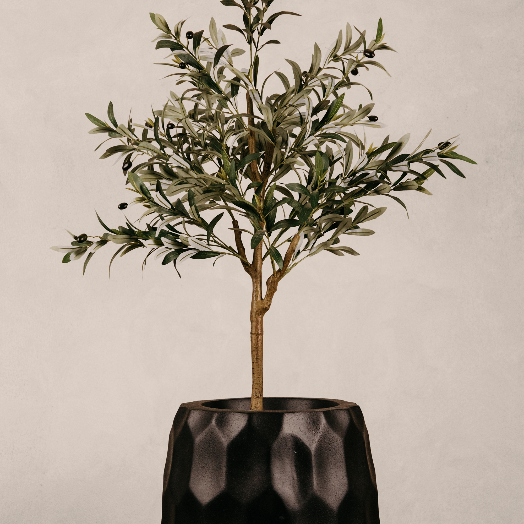 Amatola Planter