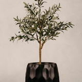 Amatola Planter