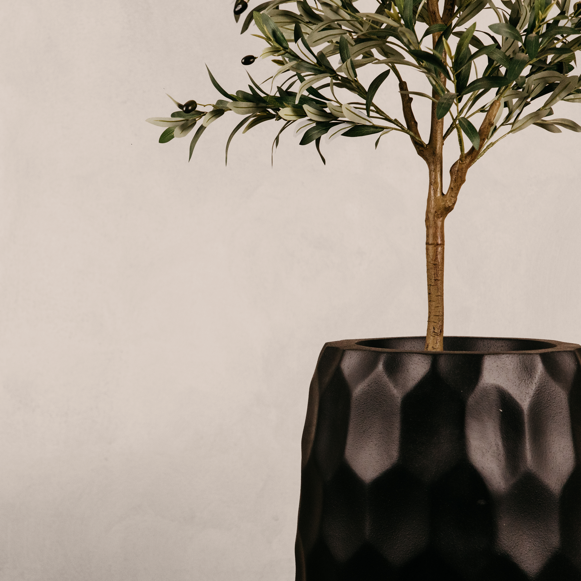 Amatola Planter