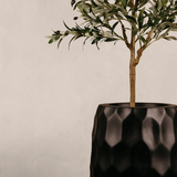 Amatola Planter