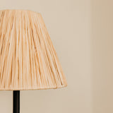 Aria Arc Double Wall Light with Raffia Shades