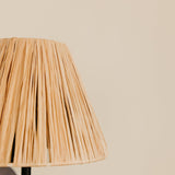 Aria Arc Wall Light with Raffia Shade