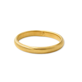 Ava Bangle