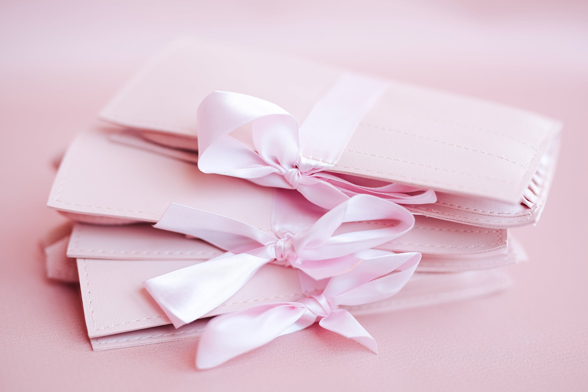 Blush Pink Brush Set with Pink Storage Bag