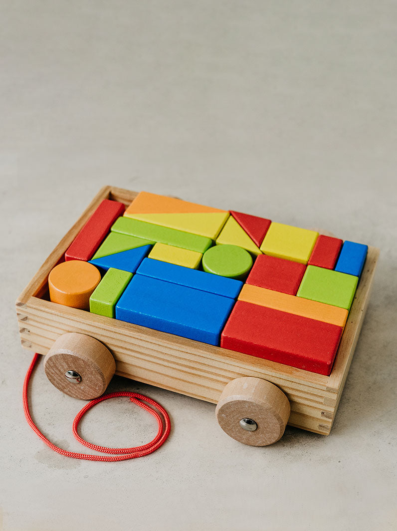 Baby's building blocks on wheels