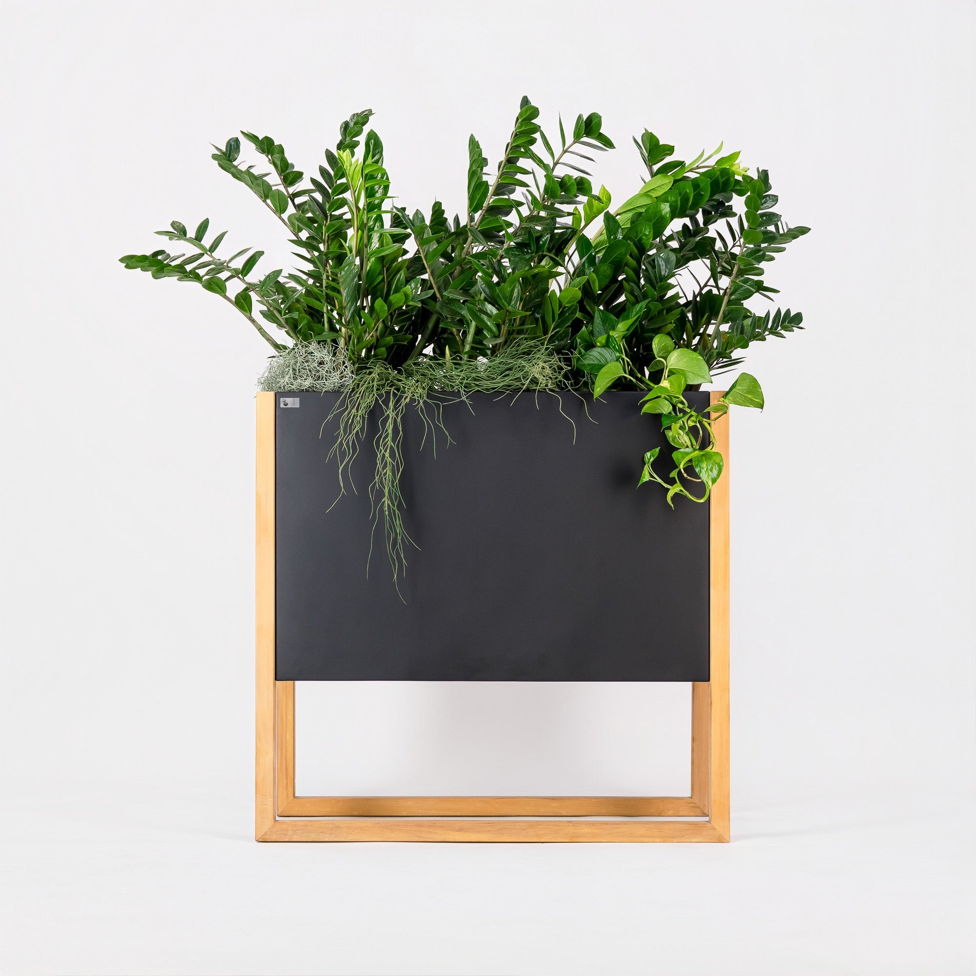 Blomma | In Steel