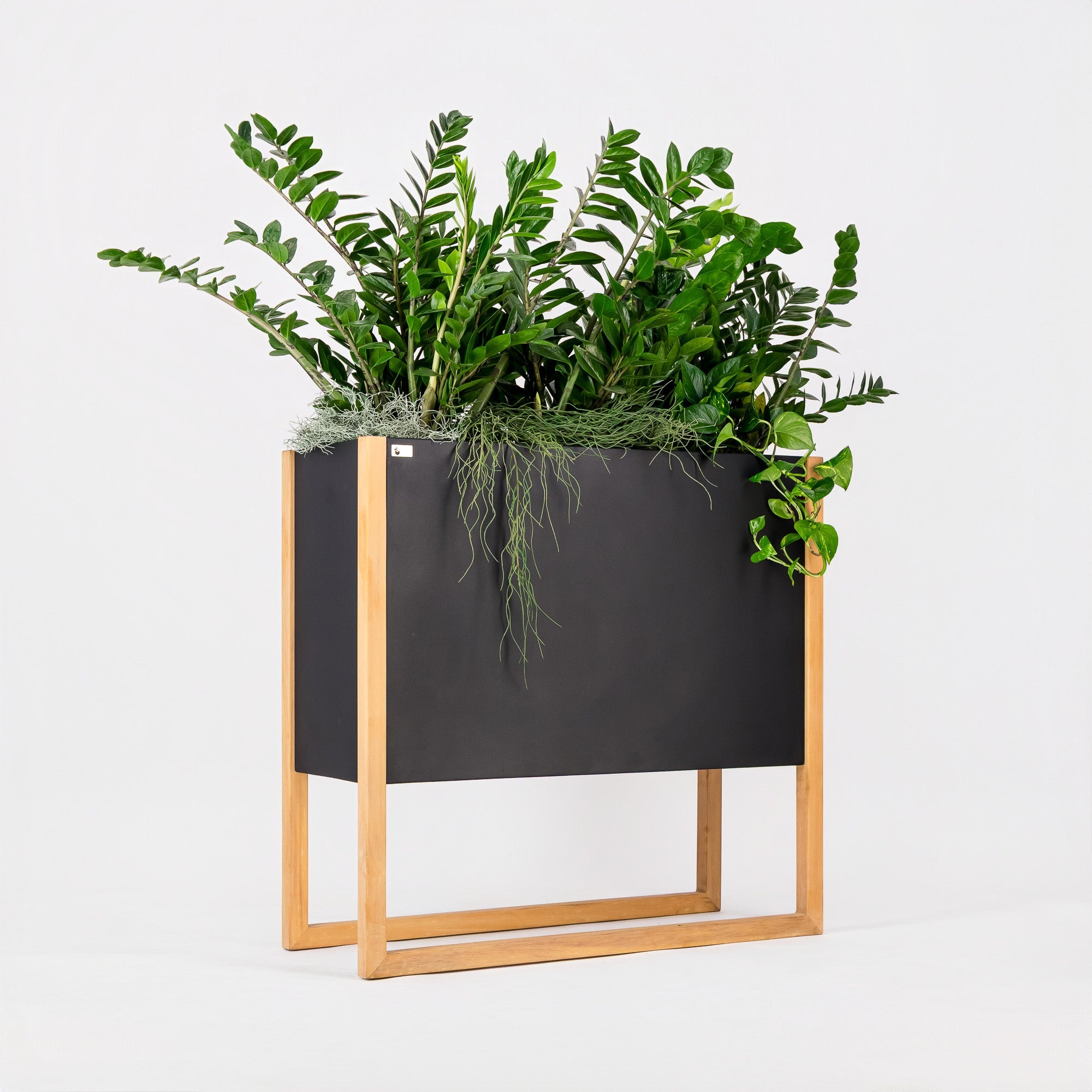 Blomma | In Steel