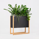 Blomma | In Steel