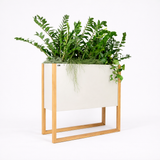 Blomma | In Steel