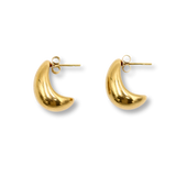 Curved Drop Earrings