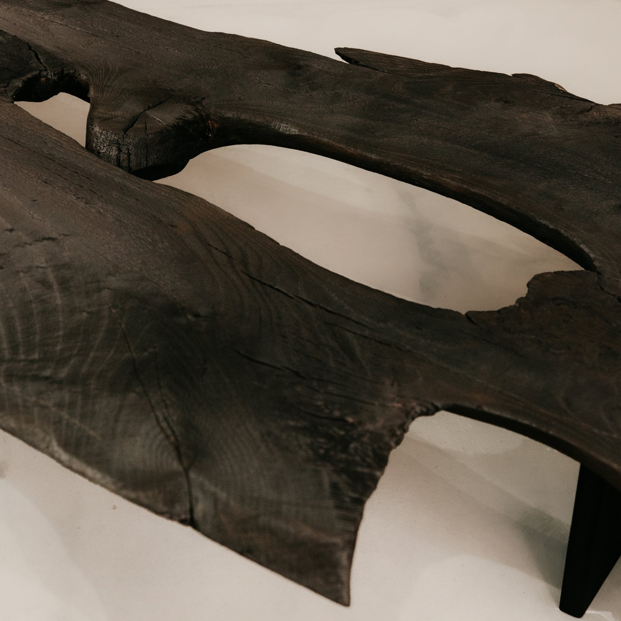 Charred Veldt Coffee Table