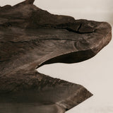 Charred Veldt Coffee Table