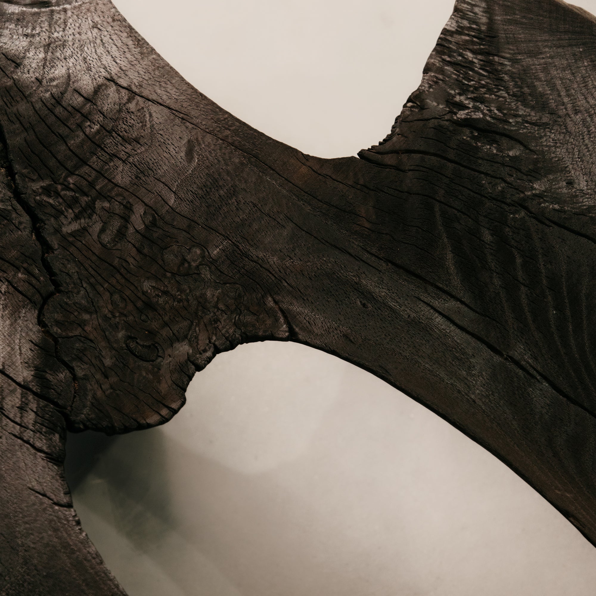 Charred Veldt Coffee Table
