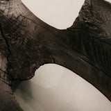 Charred Veldt Coffee Table