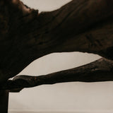 Charred Veldt Coffee Table