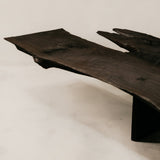 Charred Veldt Coffee Table