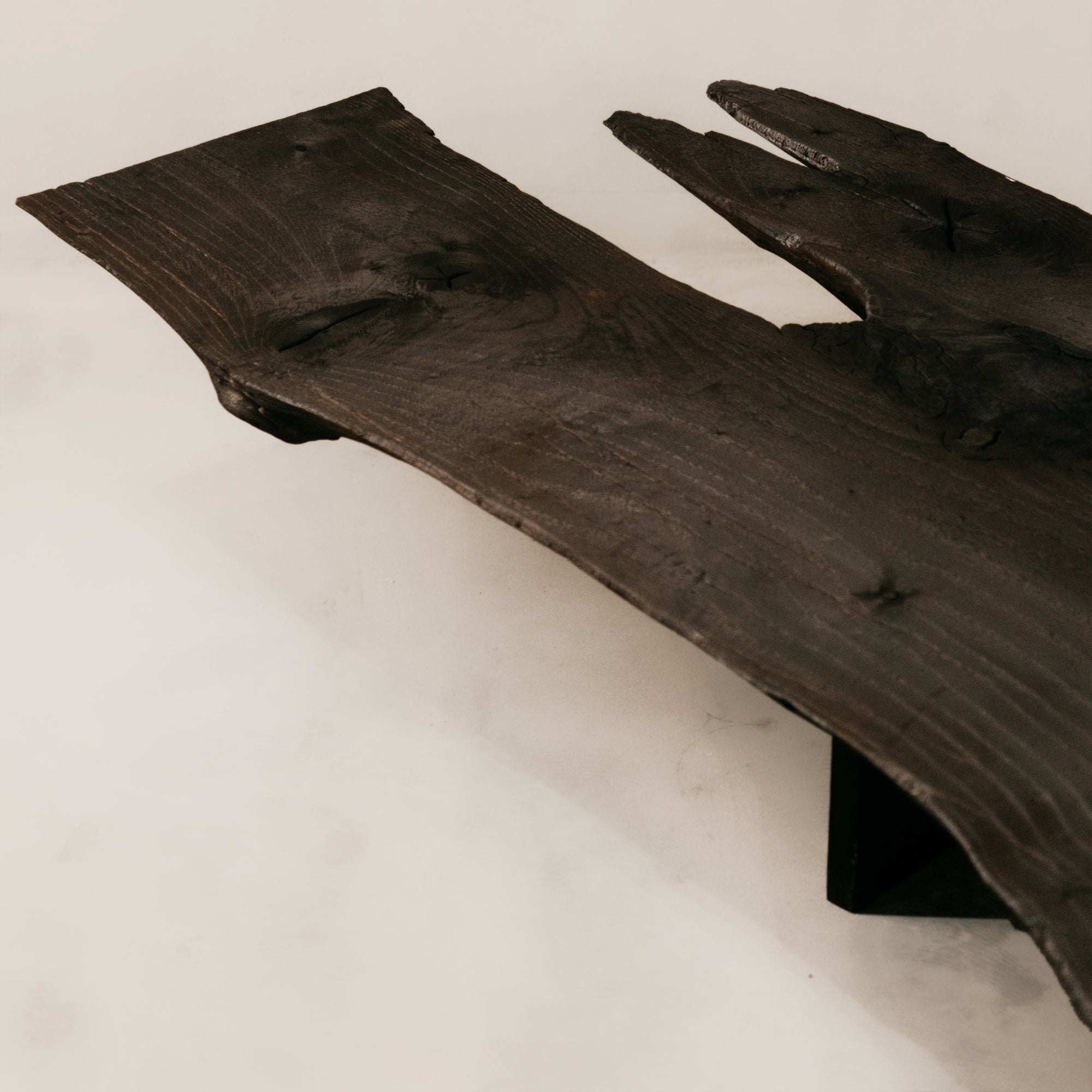 Charred Veldt Coffee Table