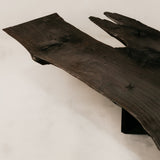 Charred Veldt Coffee Table