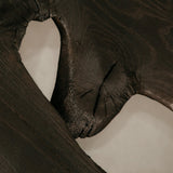 Charred Veldt Coffee Table