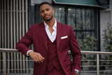 Burgundy Contemporary Suit
