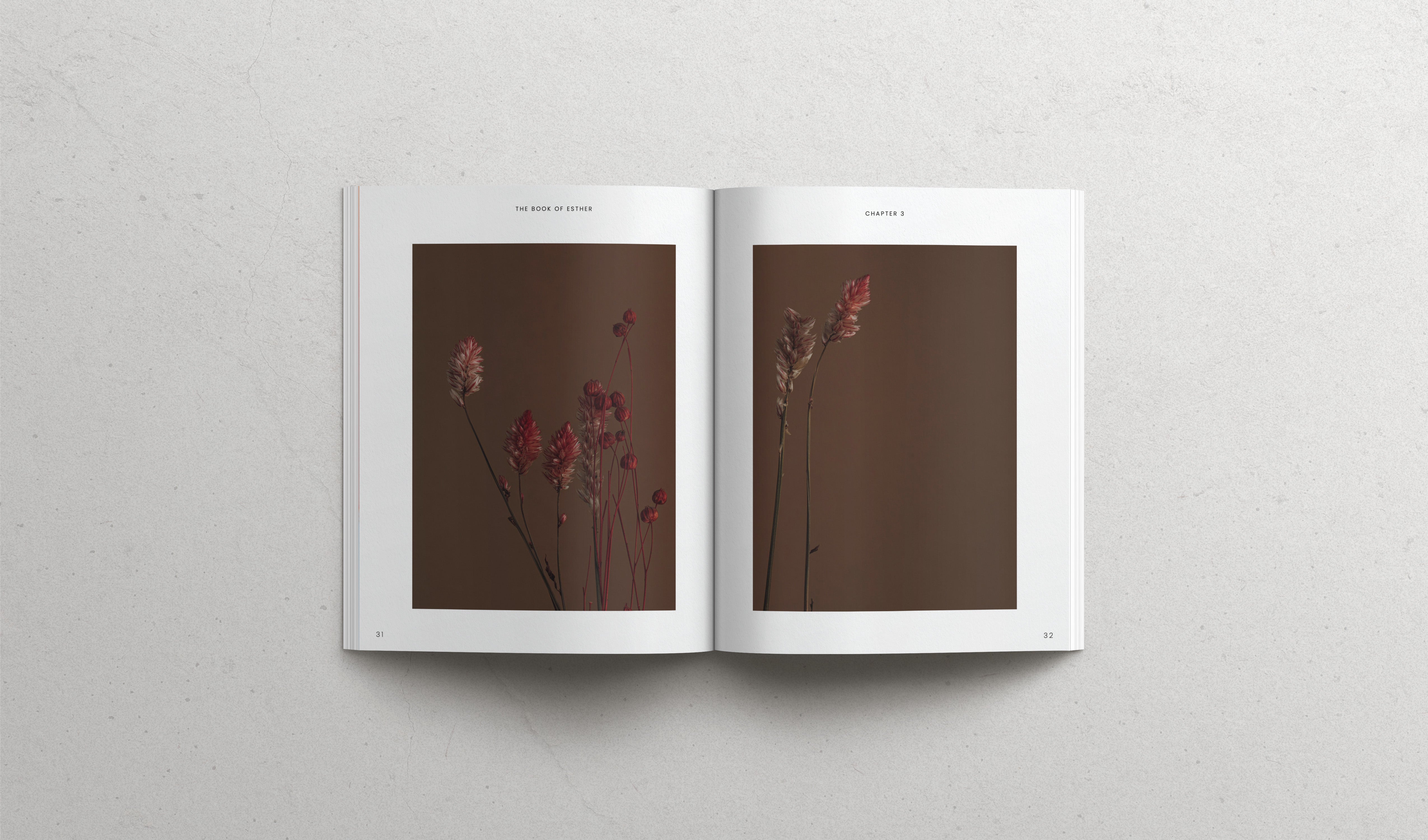 The Book of Esther - Softcover
