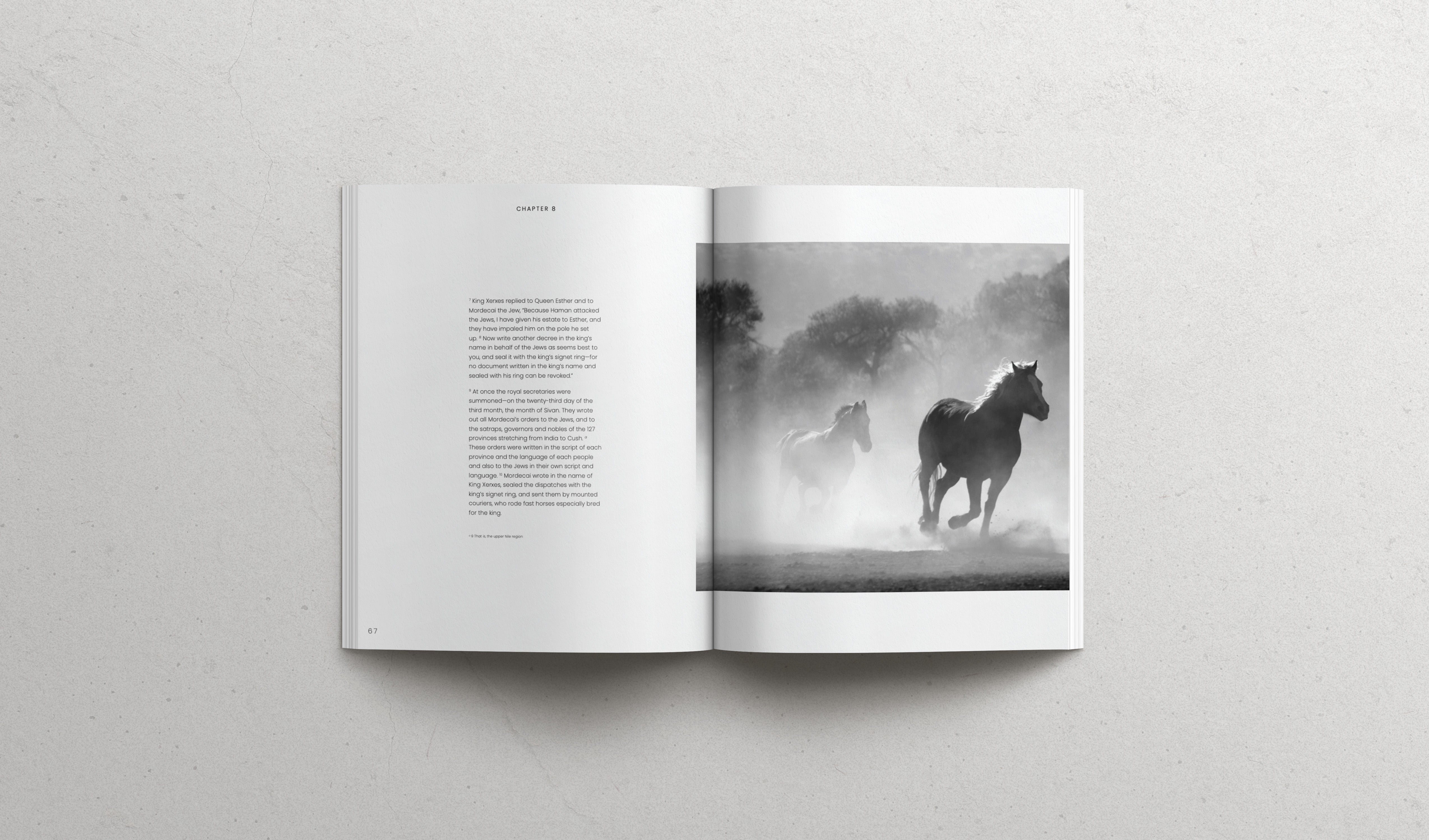 The Book of Esther - Softcover