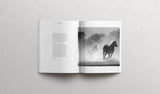 The Book of Esther - Softcover