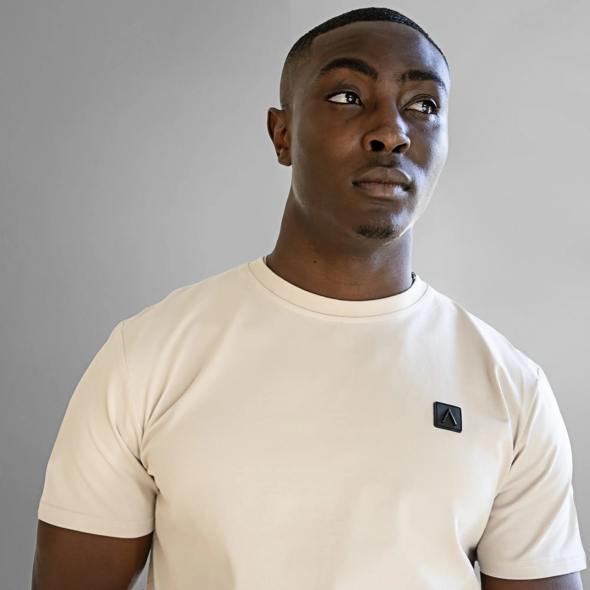 Iconic Badge Slim Fit T-Shirt Stone