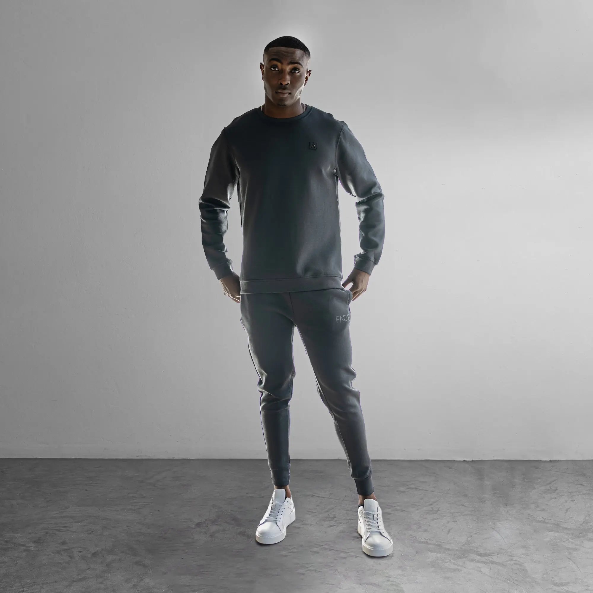 Iconic Sweatshirt Grey