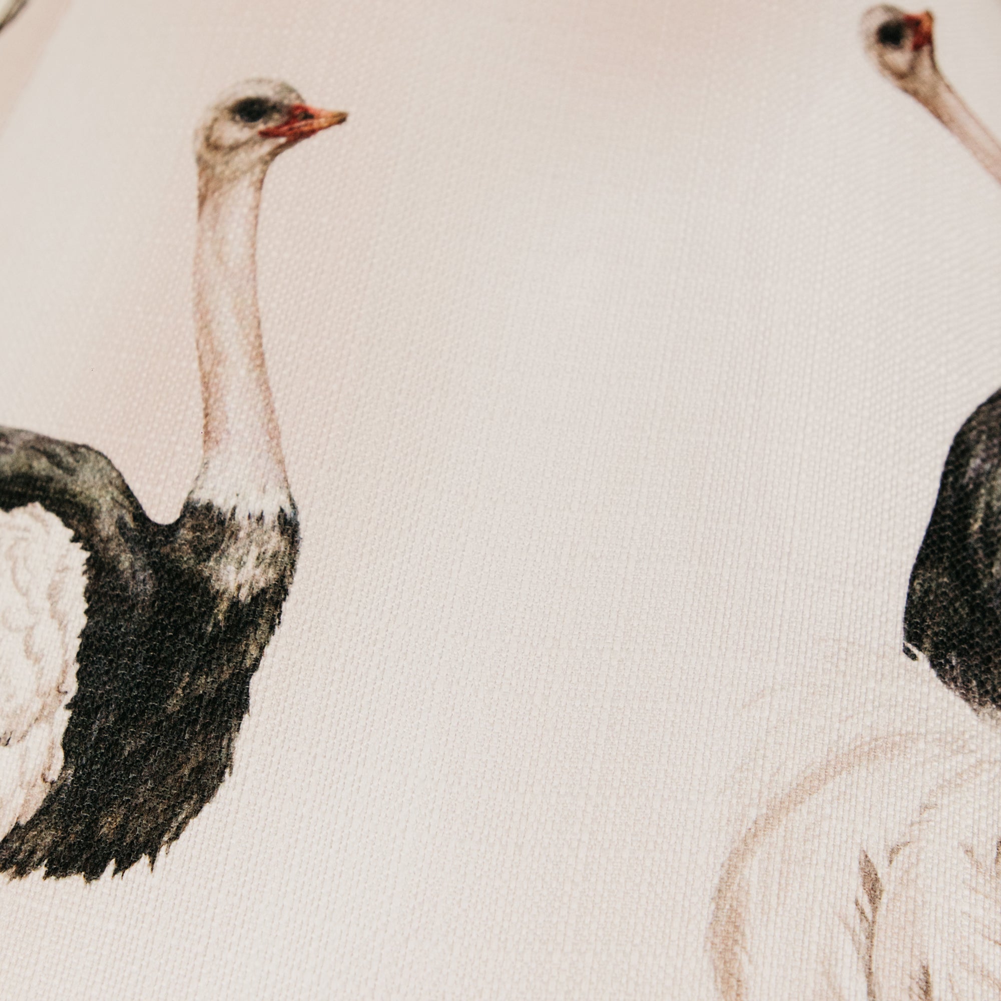 Fine Feathered Friend Fusion Floor Lamp