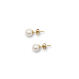 Freshwater Pearl Studs