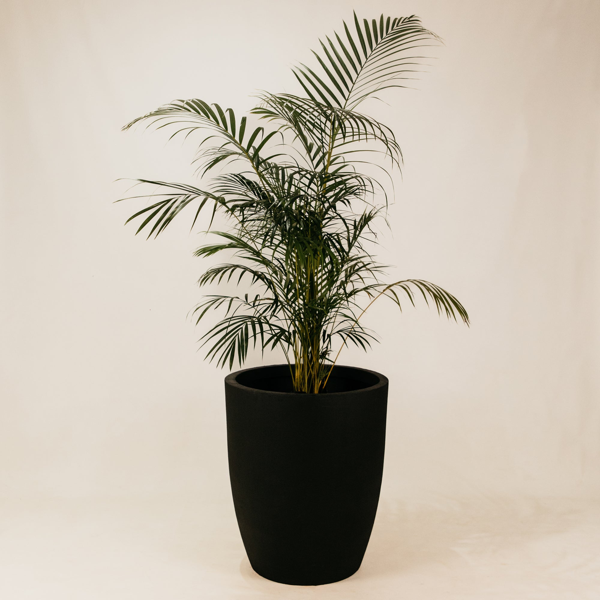 Udonga Planter – Charcoal