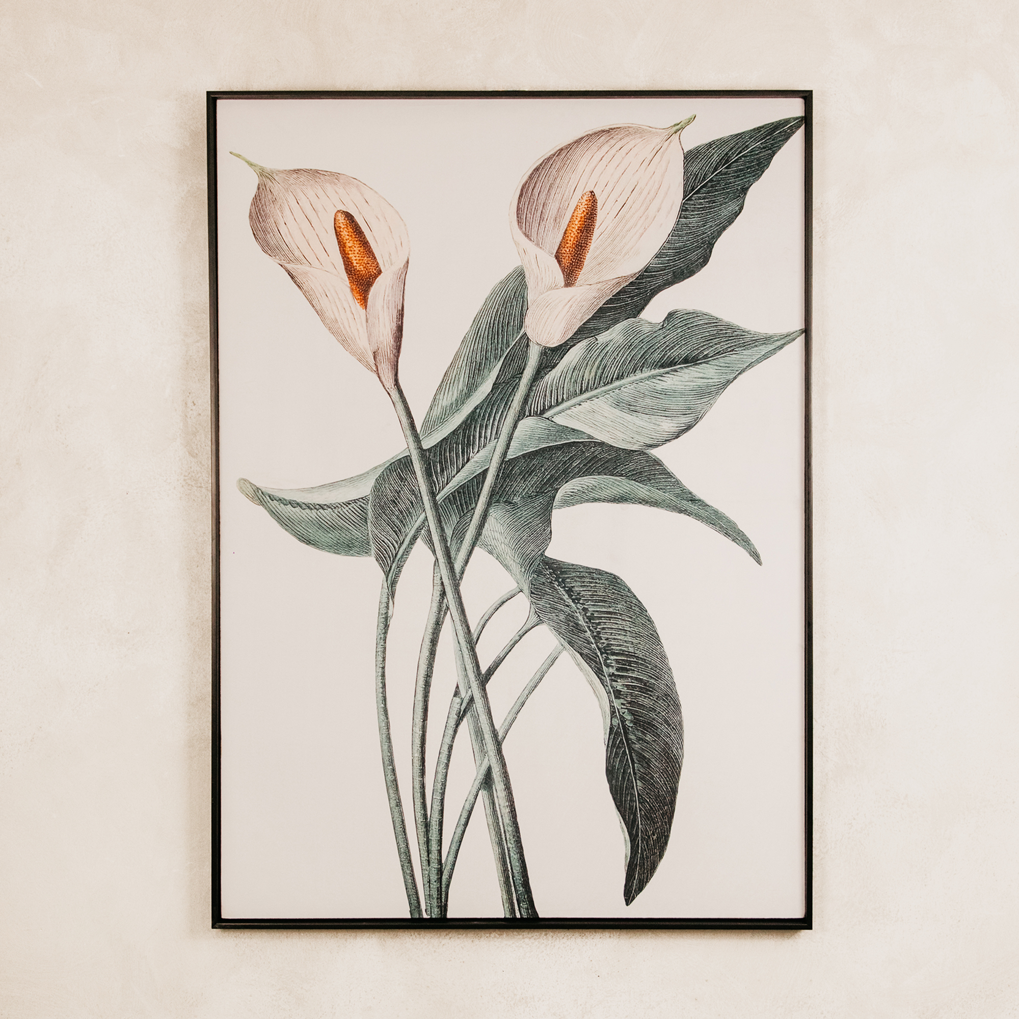 Calla Wall Art