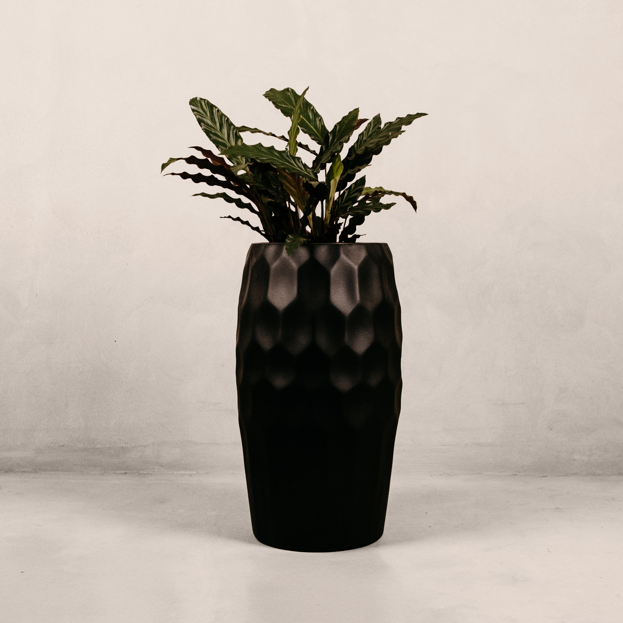 Amatola Planter