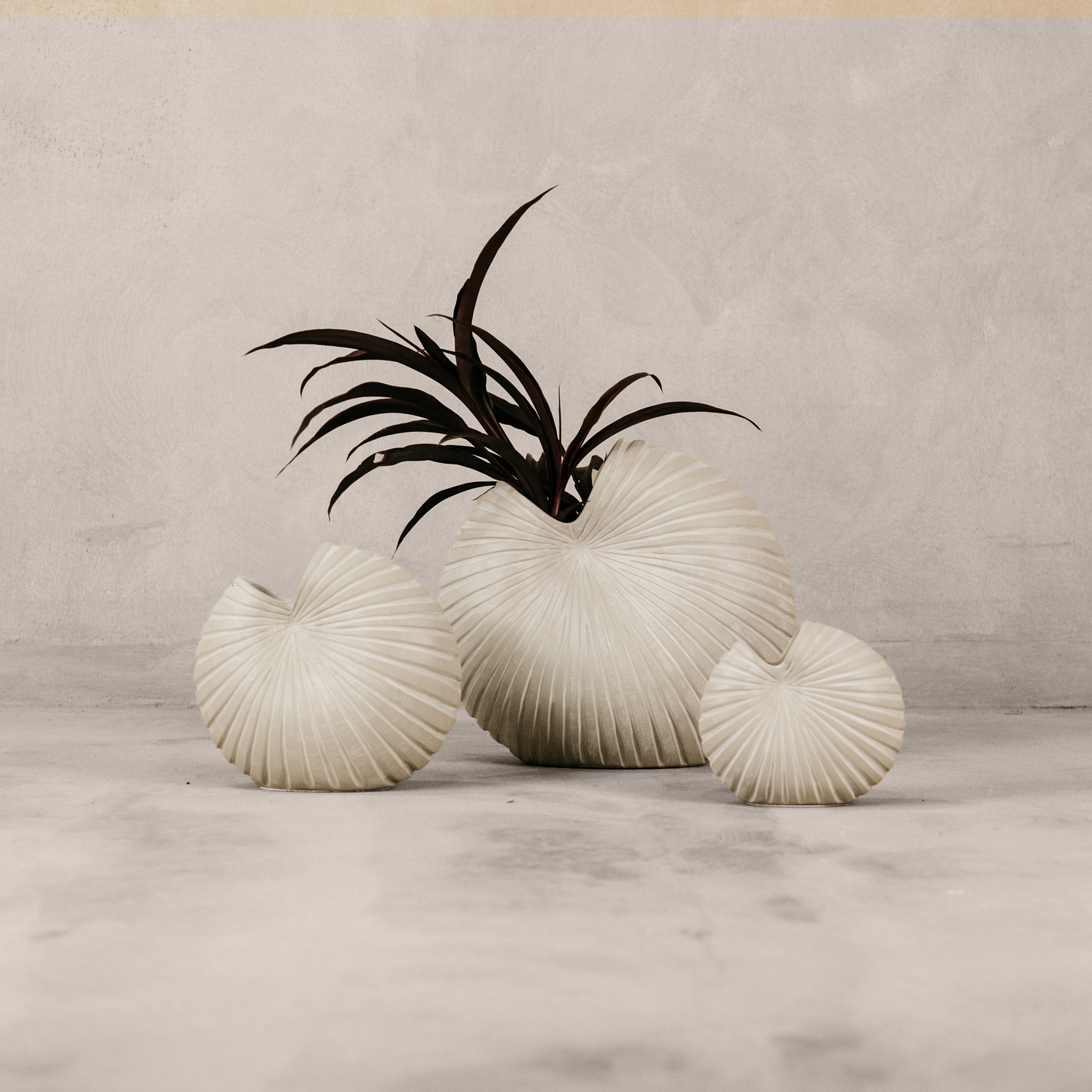 Spirula Vase Set (Set of 3)