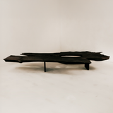 Charred Veldt Coffee Table
