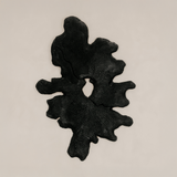 Oribi Wall Art