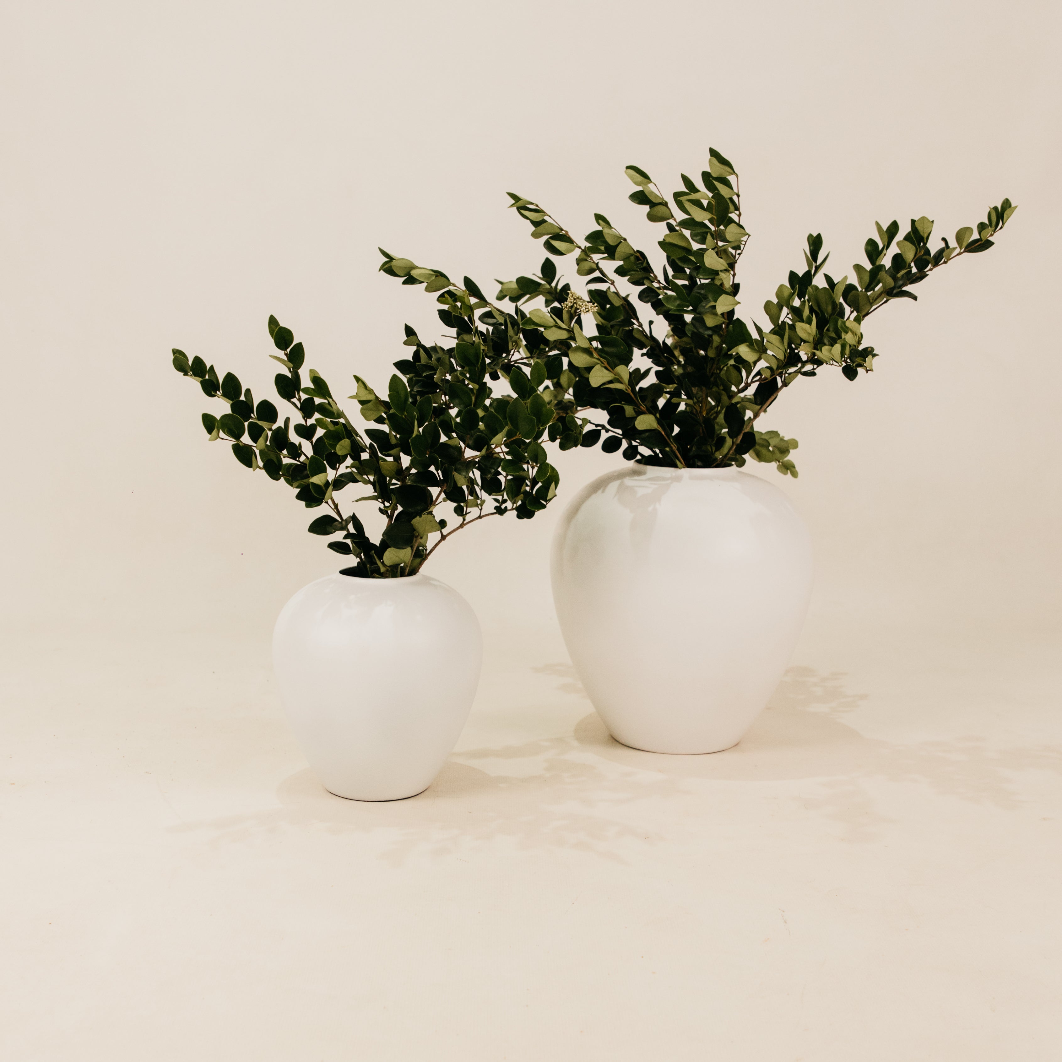 Tecoma Vase