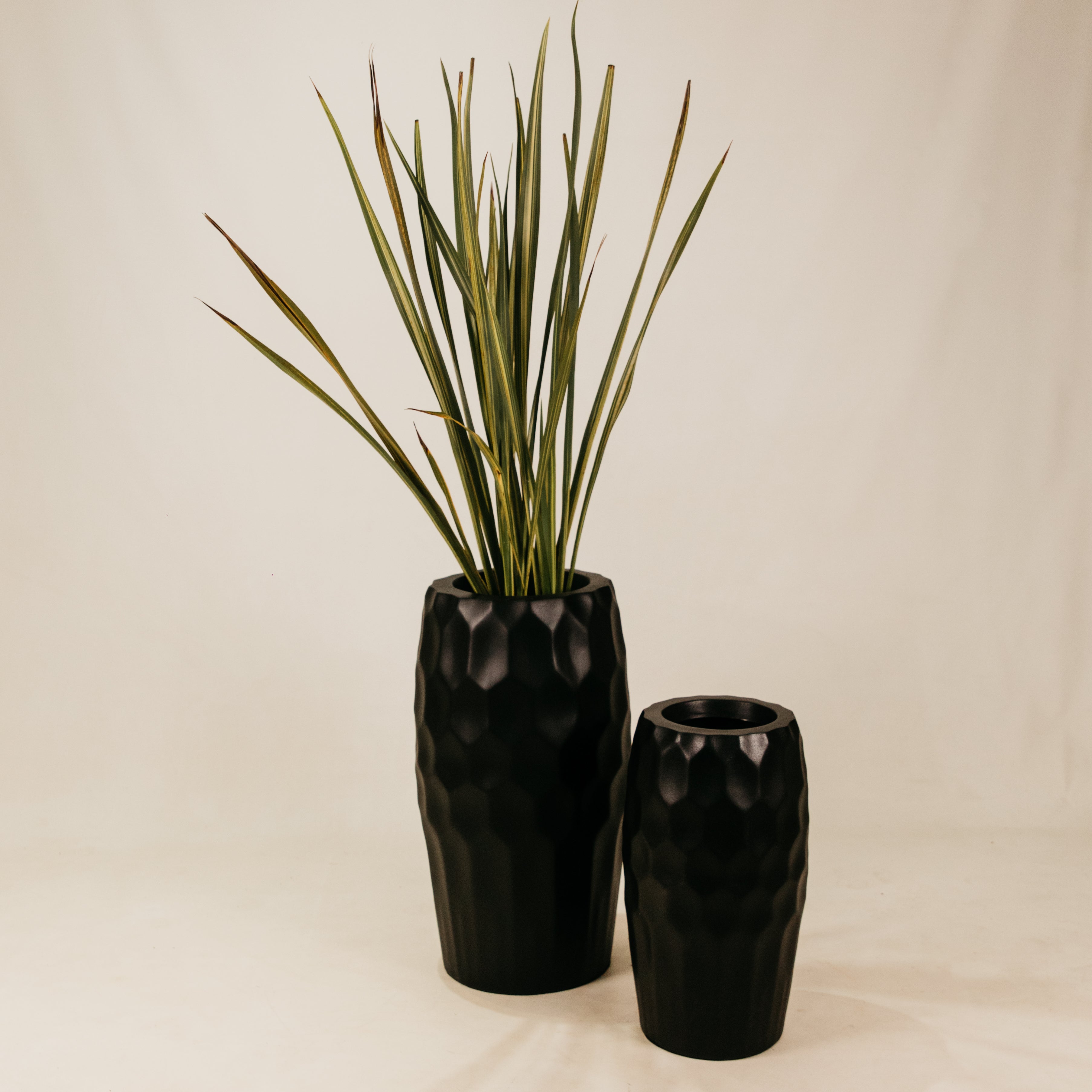 Amatola Planter