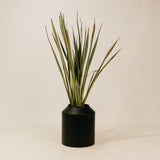 Agulhas Planter