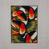 Birds Eye View Wall Art