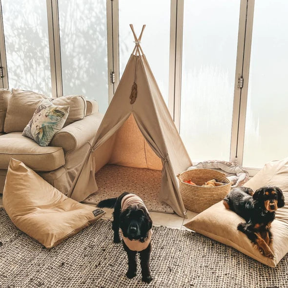 Classic Teepee Tent