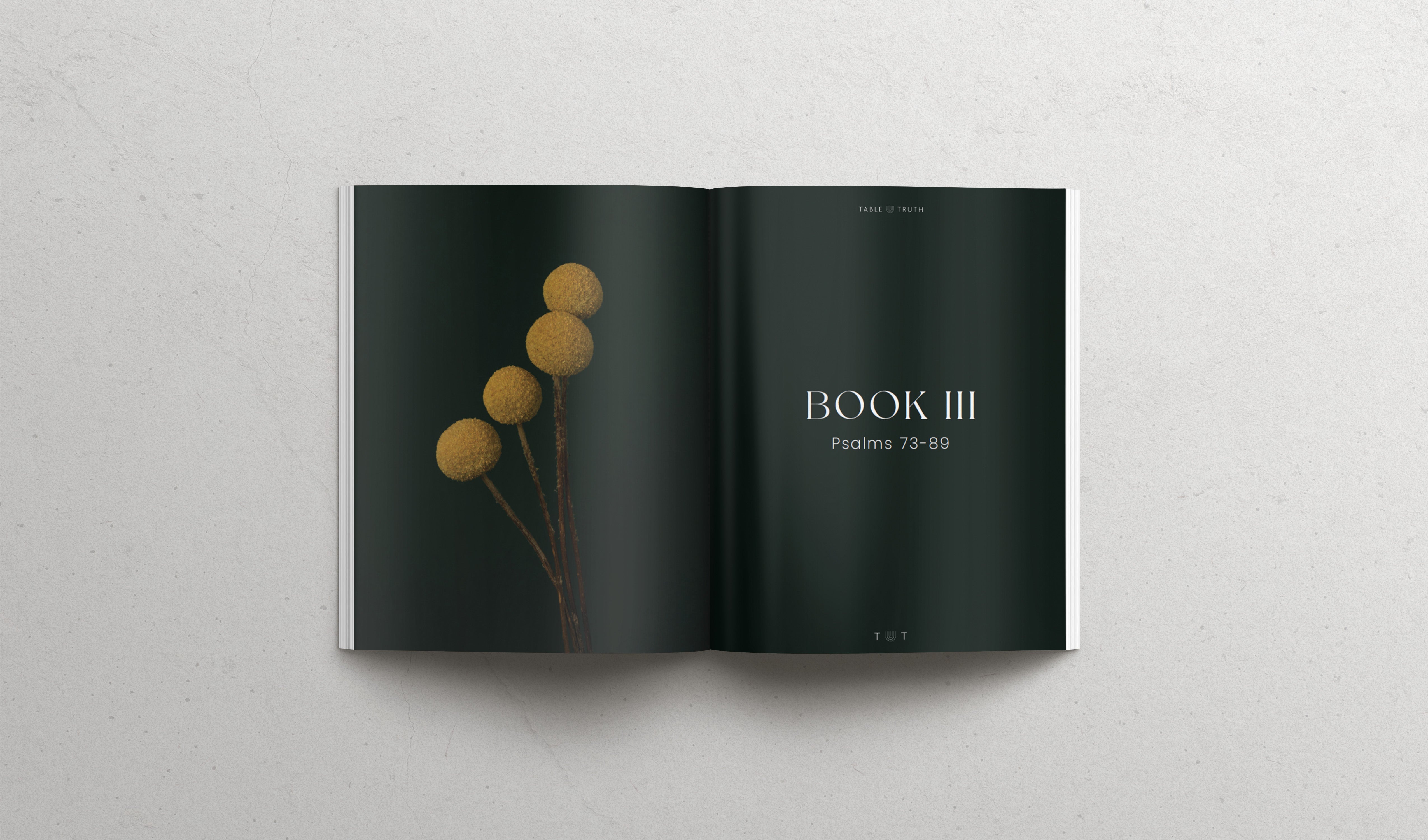 The Book of Psalms - Hardcover