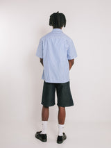 Blue Stripe Button Up