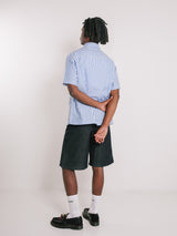 Blue Stripe Button Up