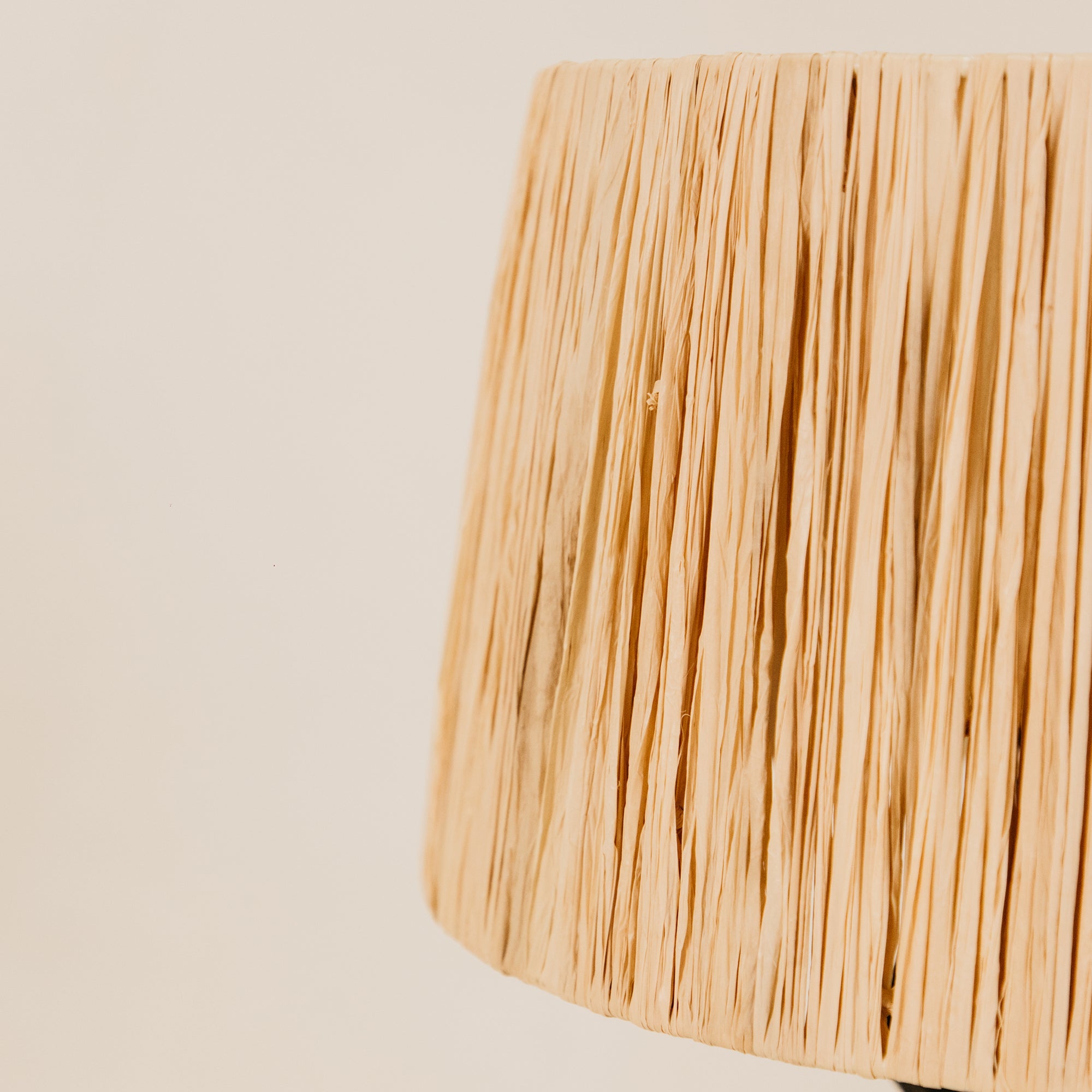 Satara Table Lamp with Raffia Shade – Black
