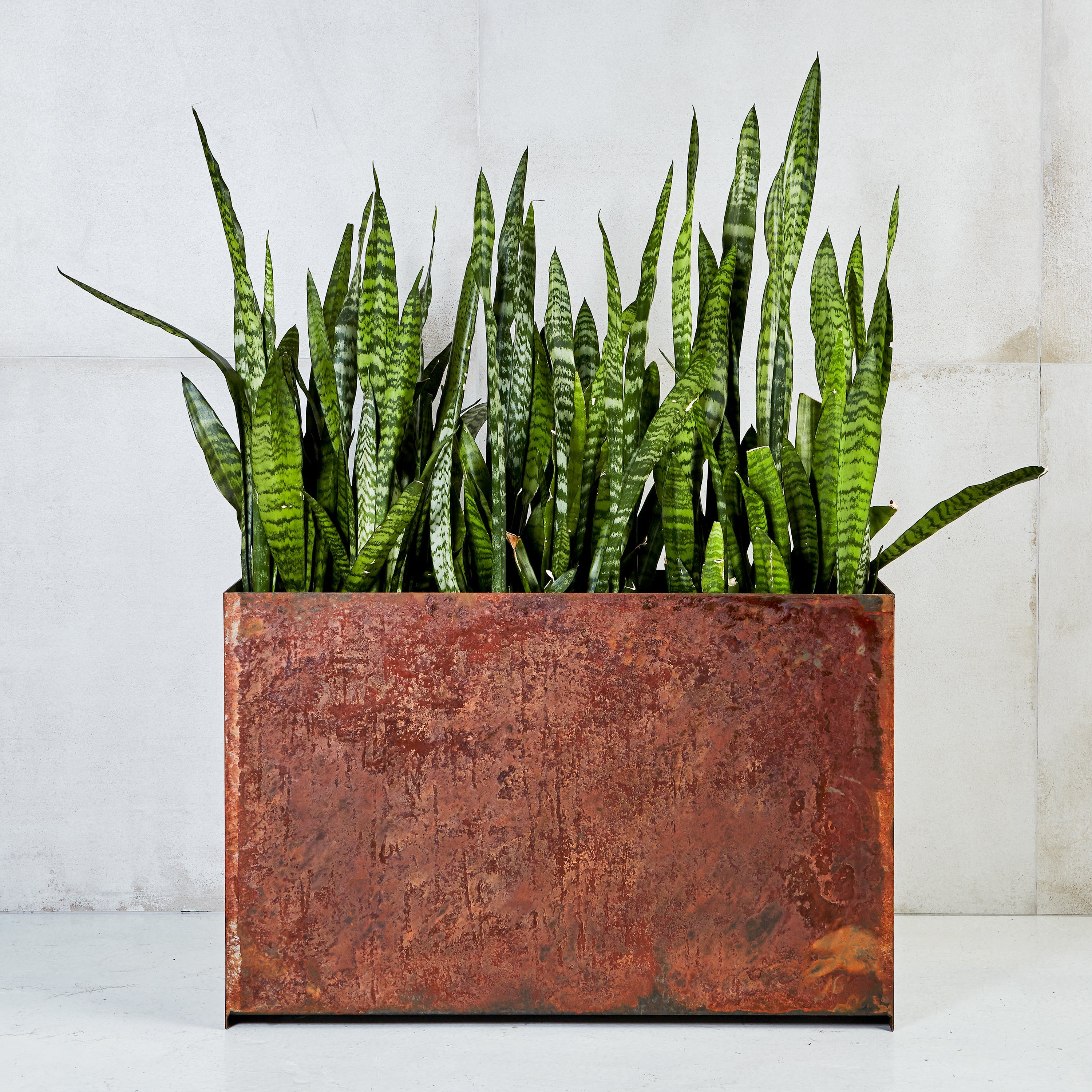 Custom | Loft Planter | Corten