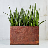 Custom | Loft Planter | Corten