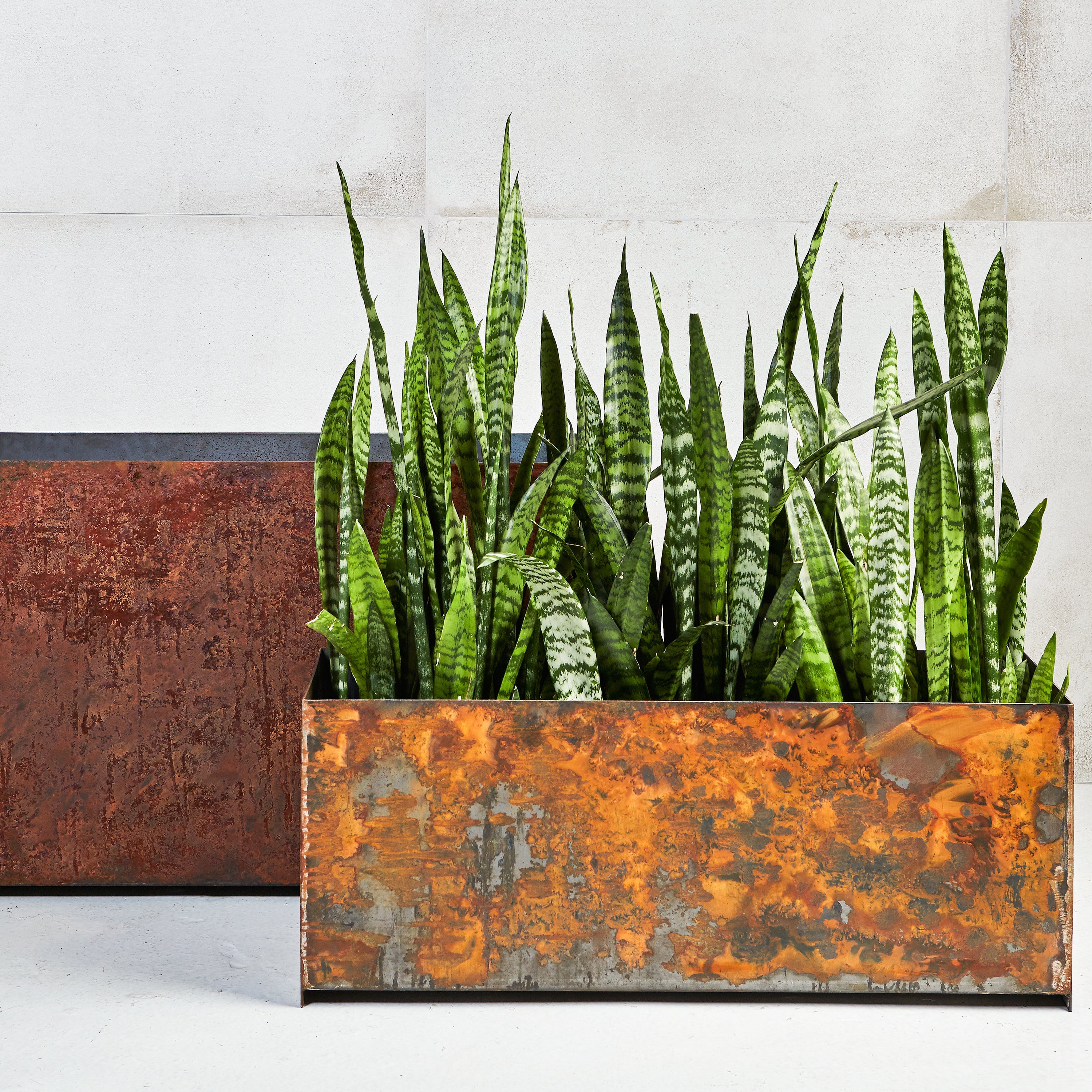 Custom | Loft Planter | Corten