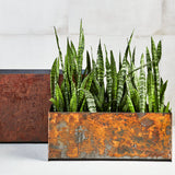 Custom | Loft Planter | Corten